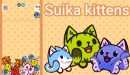 Suika Kittens