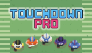 Touchdown Pro