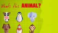 What's That Animal