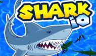 SHARK IO